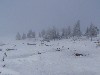 sm_PC251969.JPG