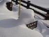 sm_PC252074.JPG