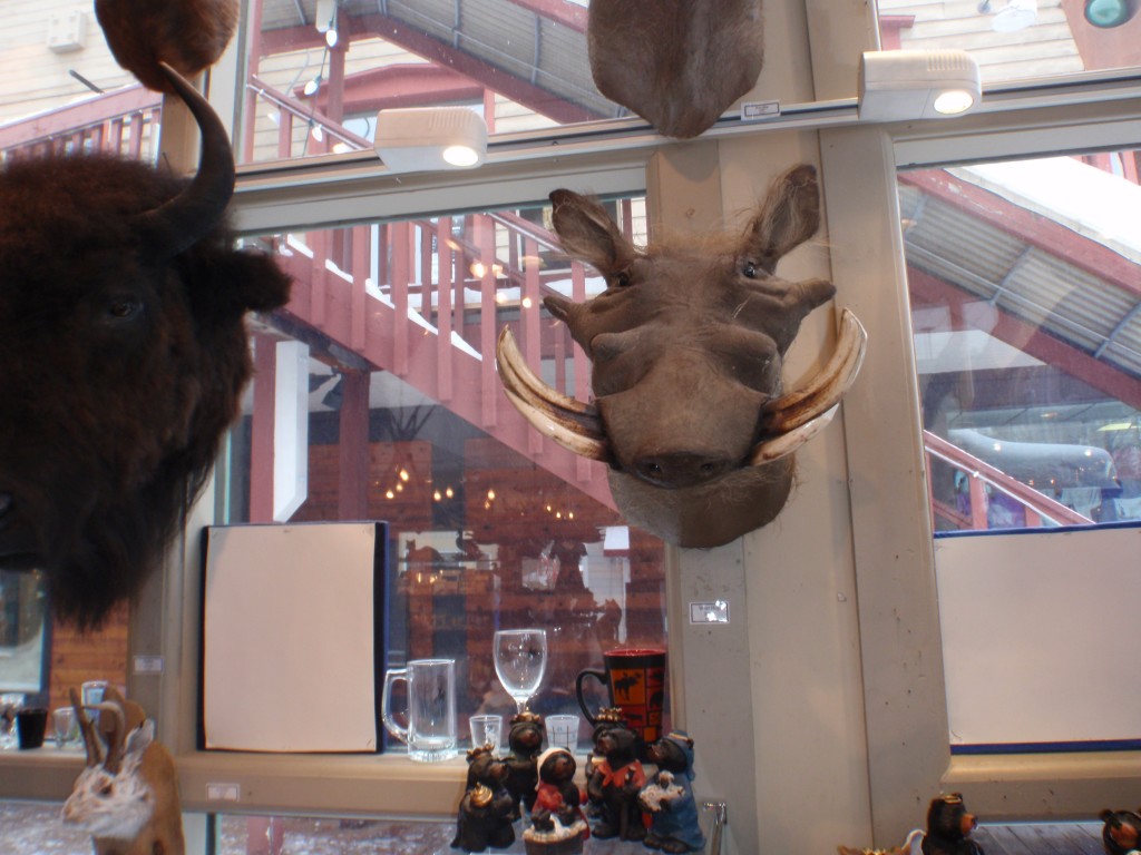 sm_AR-PC267100.JPG