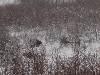 sm_AR-PC267050.JPG