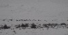sm_AR-PC267074.JPG