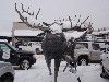 sm_AR-PC267091.JPG
