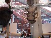 sm_AR-PC267100.JPG