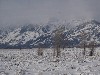 sm_AR-PC277140.JPG