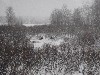 sm_PC262146.JPG