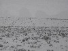 sm_PC262149.JPG