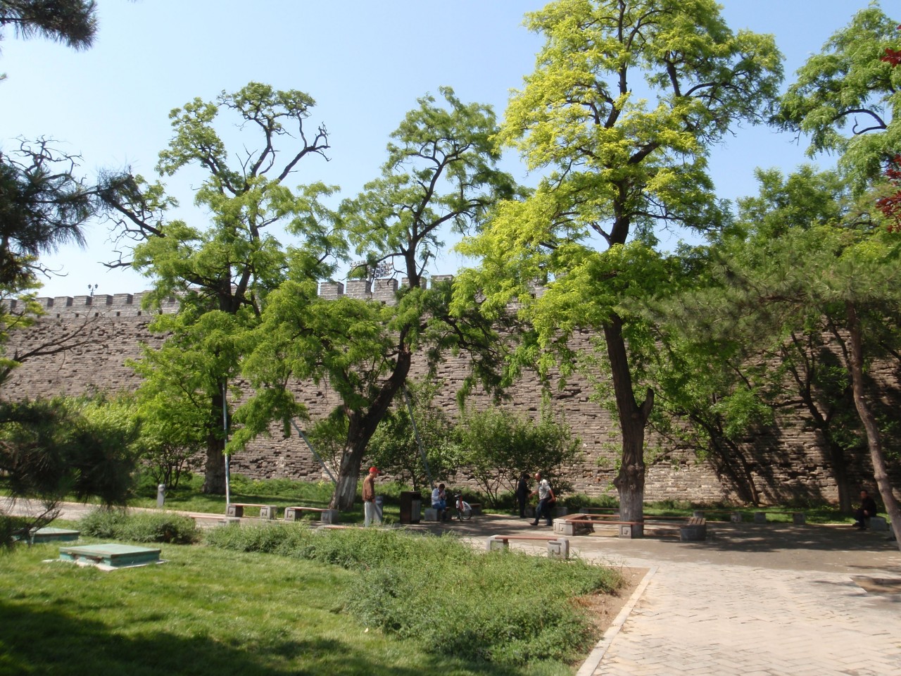 sm_P5121800.JPG