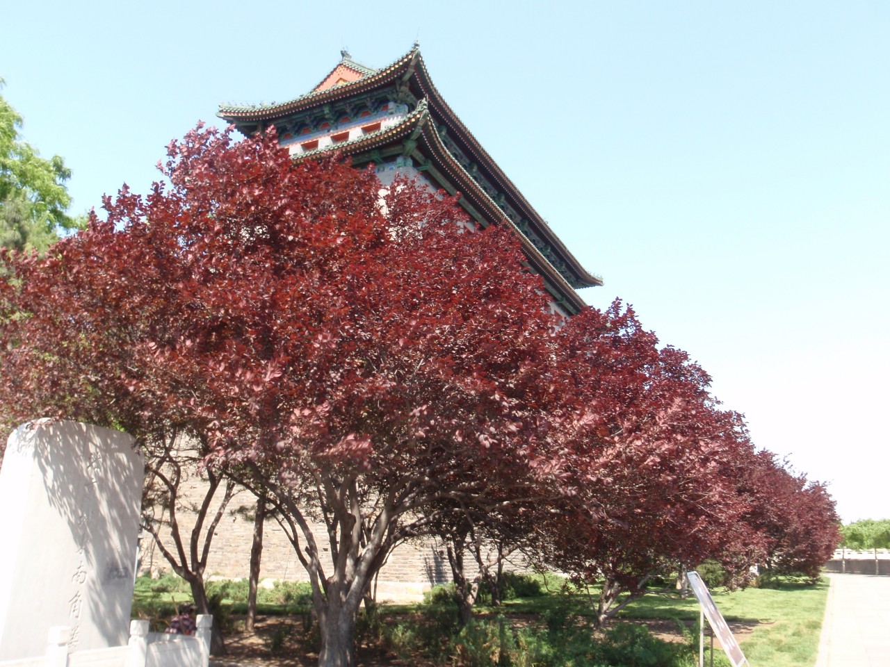 sm_P5121802.JPG