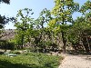 sm_P5121800.JPG