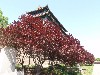sm_P5121802.JPG