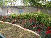 sm_P5121989.JPG
