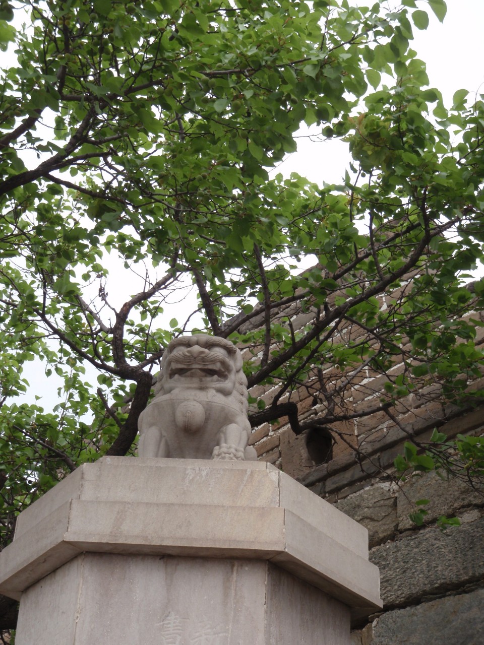 sm_P5132090.JPG