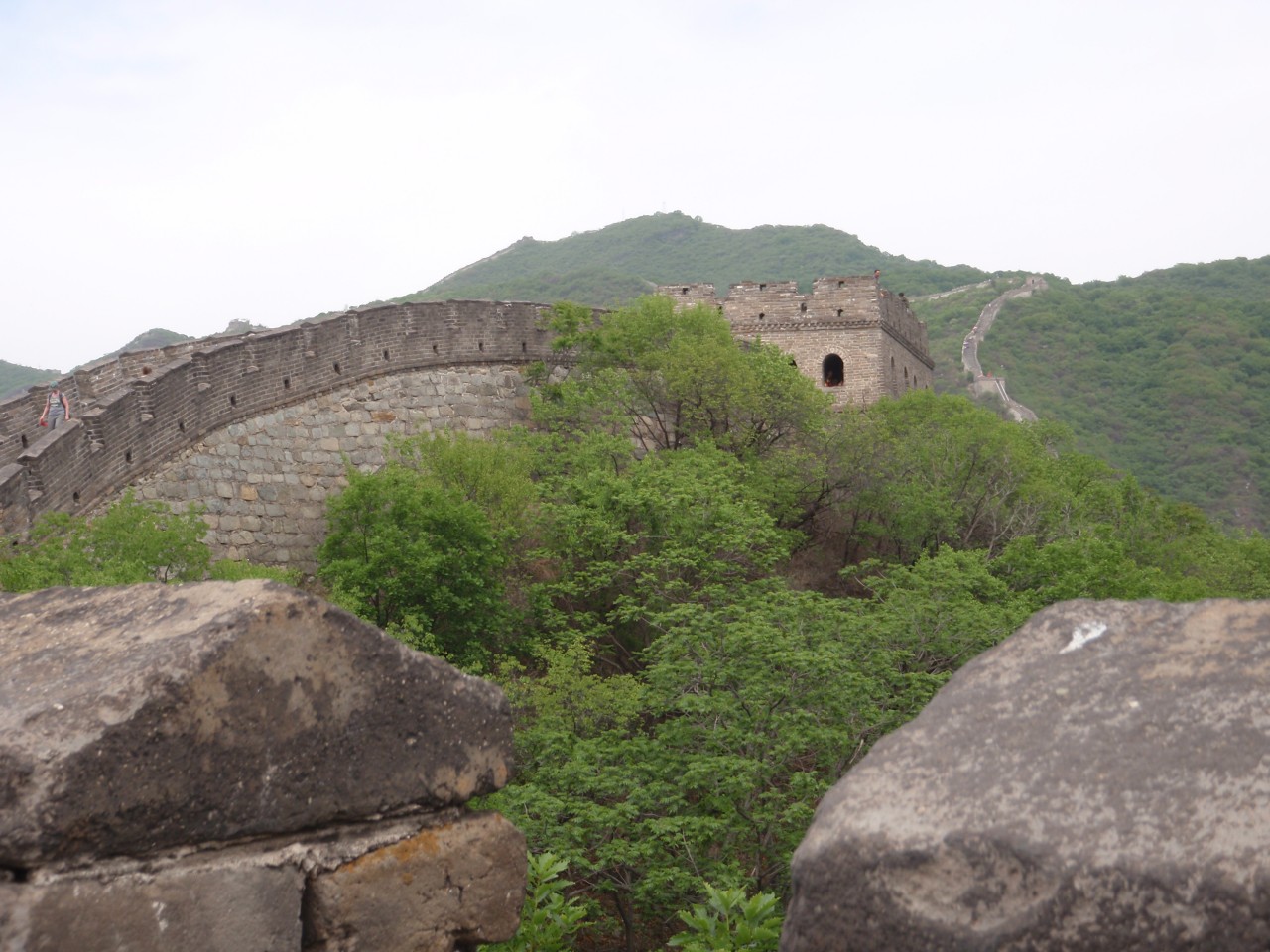 sm_P5132118.JPG