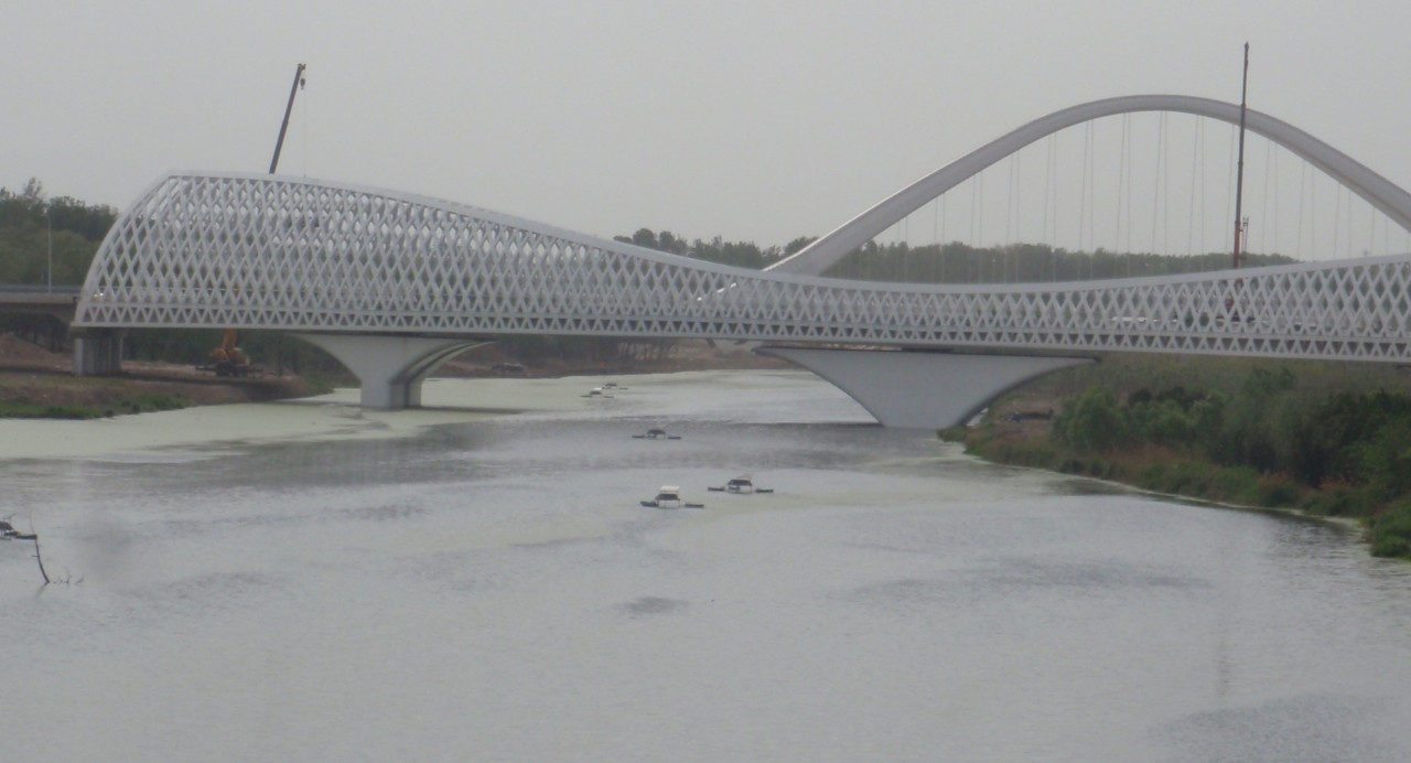 sm_P5132245.JPG