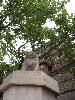 sm_P5132090.JPG