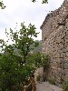 sm_P5132179.JPG