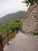 sm_P5132181.JPG