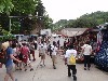 sm_P5132192.JPG