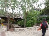sm_P5132205.JPG