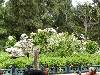 sm_DSCN1040.JPG