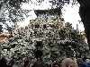sm_DSCN1060.JPG
