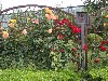 sm_P5142277.JPG