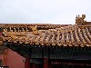 sm_P5142448.JPG
