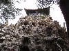 sm_P5142485.JPG