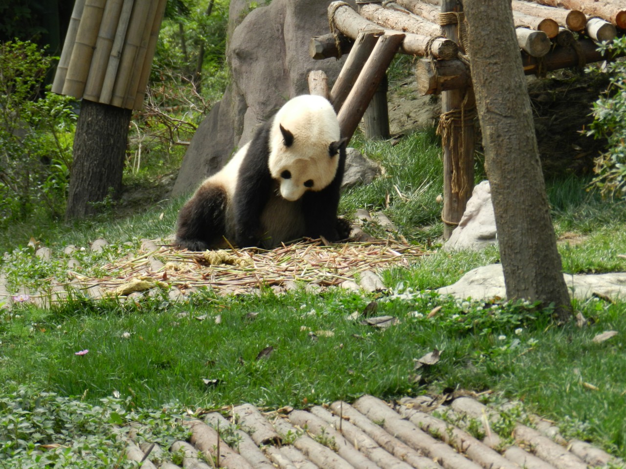 sm_DSCN1131.JPG