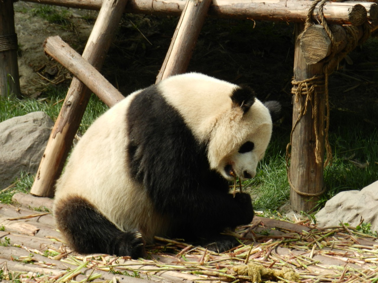 sm_DSCN1136.JPG