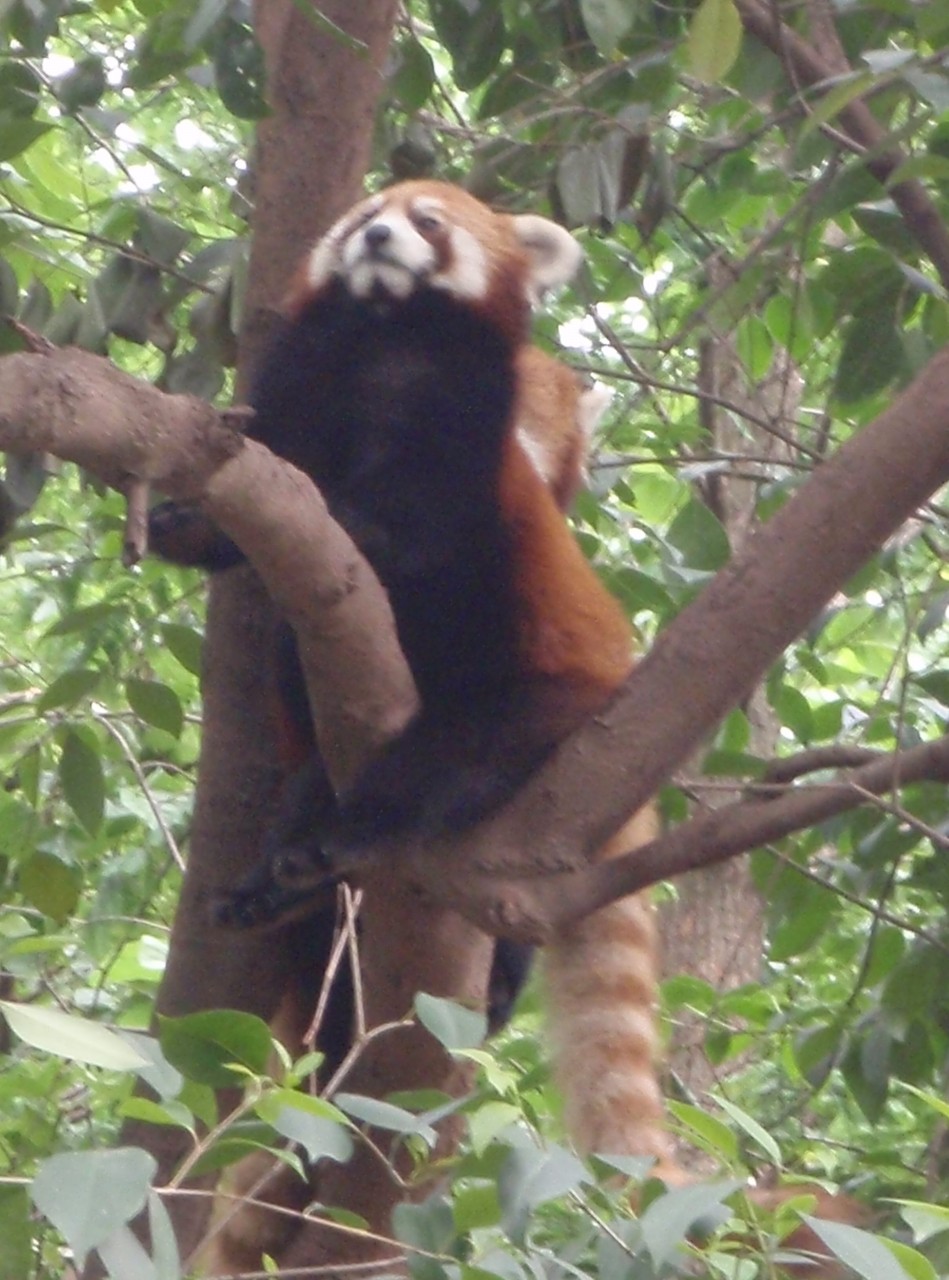 sm_P5152717.JPG