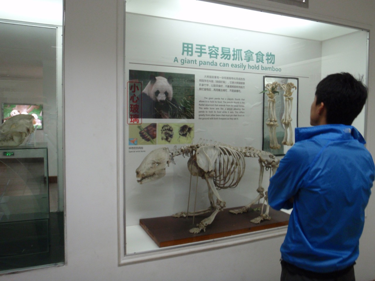 sm_P5152760.JPG