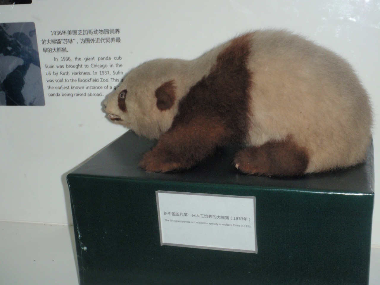 sm_P5152764.JPG