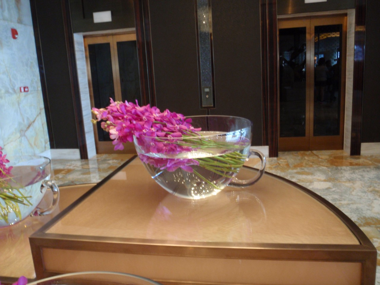 sm_P5152776.JPG