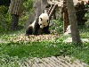 sm_DSCN1131.JPG