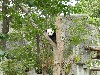 sm_DSCN1151.JPG