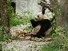 sm_DSCN1164.JPG