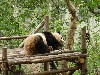 sm_DSCN1170.JPG