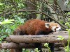 sm_DSCN1254.JPG