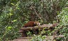 sm_P5152693.JPG