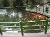 sm_P5152752.JPG