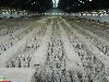 sm_DSCN1899.JPG