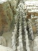 sm_DSCN1932.JPG