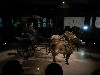 sm_DSCN2233.JPG