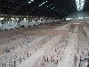 sm_P5162931.JPG