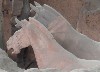sm_P5162971.JPG