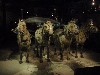 sm_P5163187.JPG