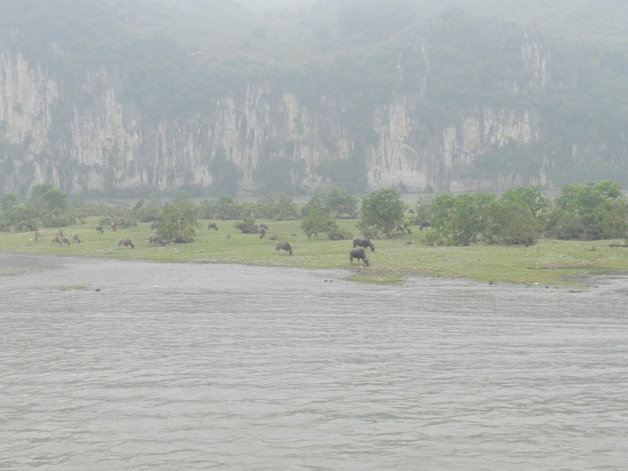 sm_DSCN2361.JPG