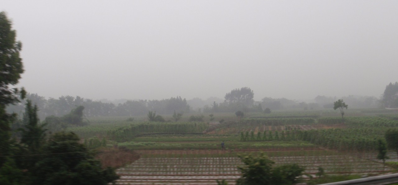 sm_P5173243.JPG