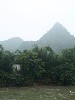 sm_P5173302.JPG